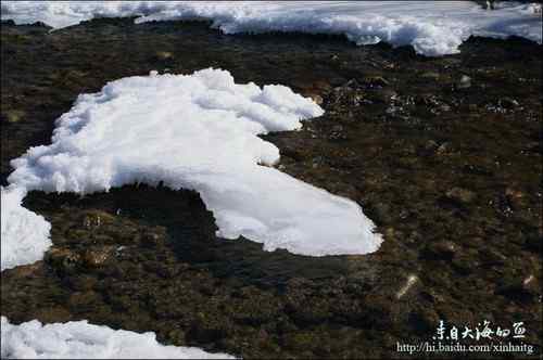 白河峡谷是个观鸟的好地方