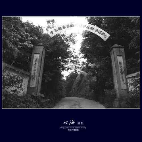 董寨国家级自然保护区 鸟类资源丰富