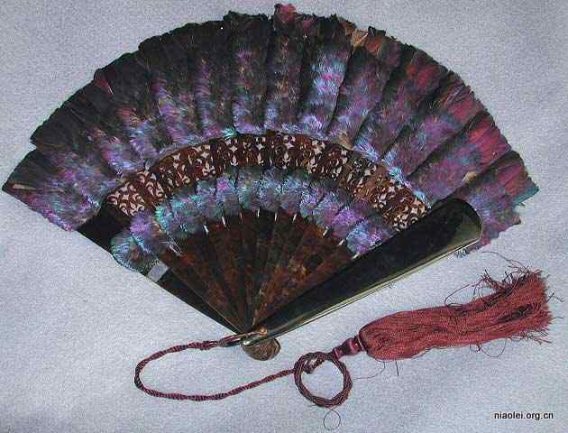 九色鸟 棕尾虹雉