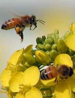 七大灭门杀手 七大灭门杀手