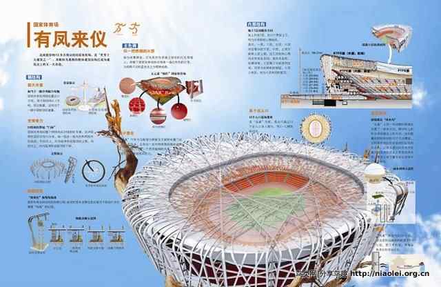 鸟巢的惊天秘密