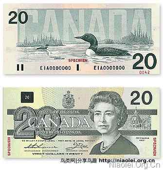 加拿大货币：纸币和硬币