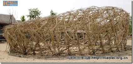 农民兄弟制作的山寨鸟巢