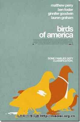 钱德勒2008新作:《Birds of American》美国鸟类 钱德勒2008新作:《Birds of American》美国鸟类