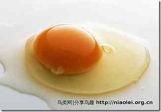 最全的鸡蛋做法