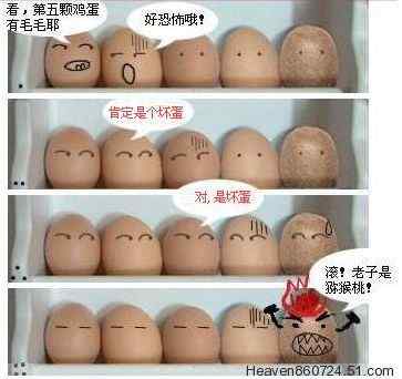 鸡蛋漫画 老子是猕猴桃