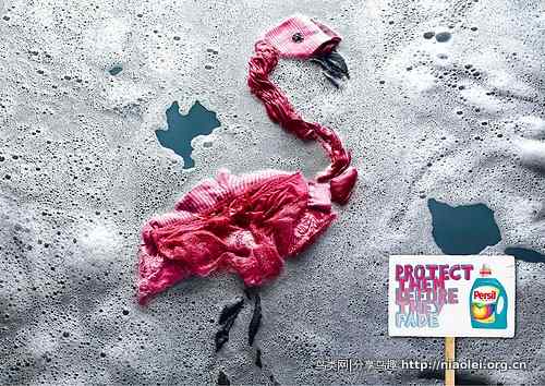 [创意广告]洗衣机里的火烈鸟