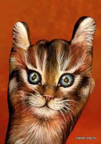 绝美艺术:一只手模仿出来的动物 绝美艺术:一只手模仿出来的动物