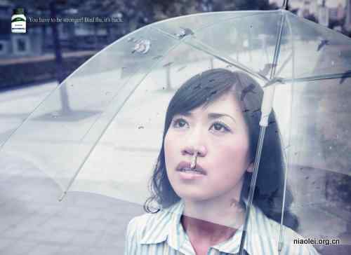 [公益广告]教你如何应对禽流感