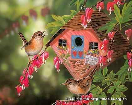 极其精美的小鸟蜂鸟绘画壁纸