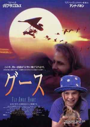 影评：返家十万里Fly Me Home