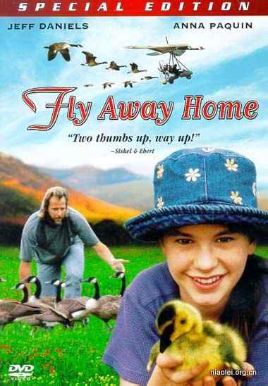 影评：返家十万里Fly Me Home