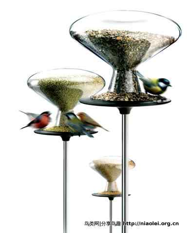 超棒的喂鸟器设计