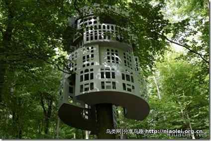 专业、好看、活泼、有容：科学松鼠会