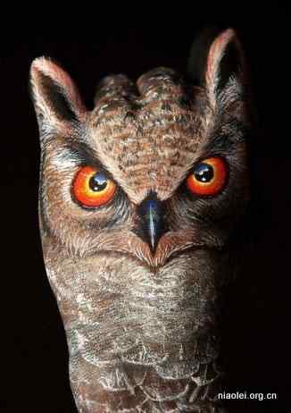 绝美艺术:一只手模仿出来的动物 绝美艺术:一只手模仿出来的动物