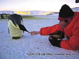 揭秘《帝企鹅日记》的拍摄