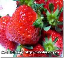 鹤顶红真的有剧毒吗?