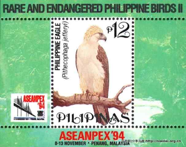 狮子头型的大鸟－－菲律宾国鸟食猿雕