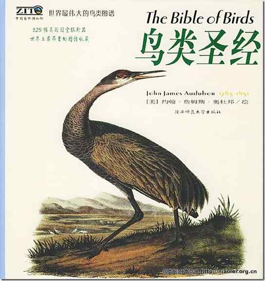 图书：鸟类大全图谱The Bible of Birds 鸟类圣经