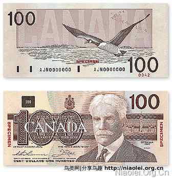 加拿大货币：纸币和硬币