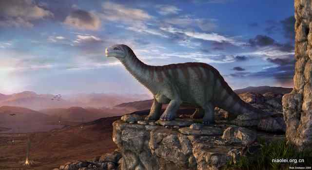 恐龙和鸵鸟是近亲？