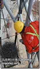 鸟巢传奇：喜鹊馆内筑金属鸟巢