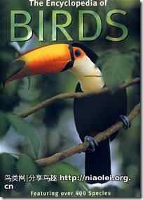 鸟类大全 The Encyclopedia of Birds