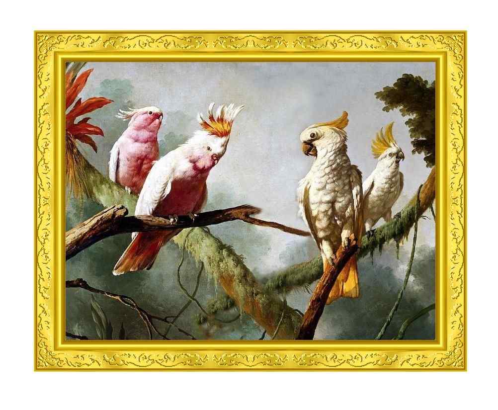 贵族鸟类画
