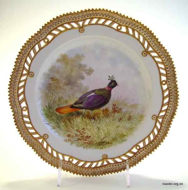 九色鸟 棕尾虹雉