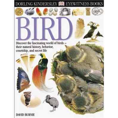 推荐鸟类图书：《目击者——鸟》中文版导语
