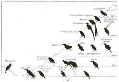 地震，择偶，金城武
