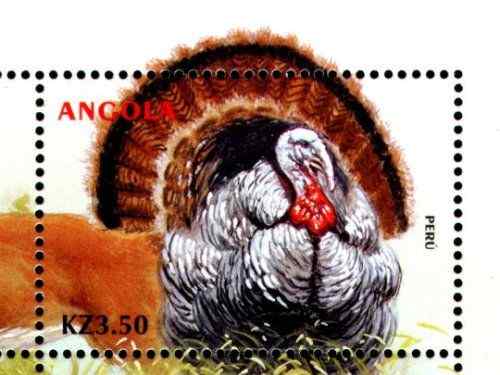 世界的动物小型张火鸡