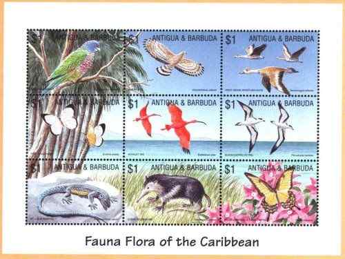 加勒比动植物系列