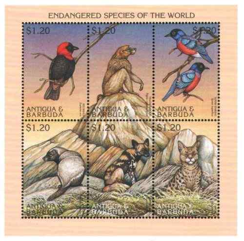 安提瓜和巴布达濒危物种