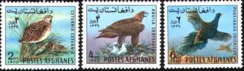阿富汗野生鸟类邮票