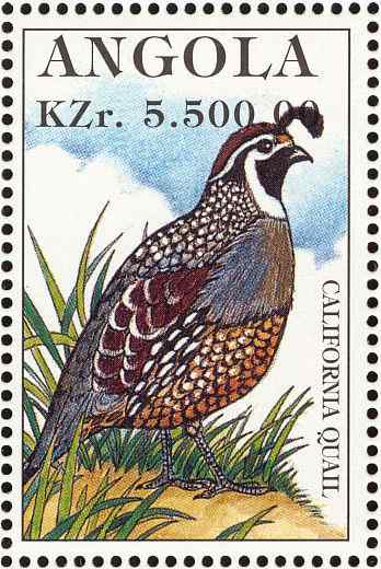 鸡类邮票图片大全