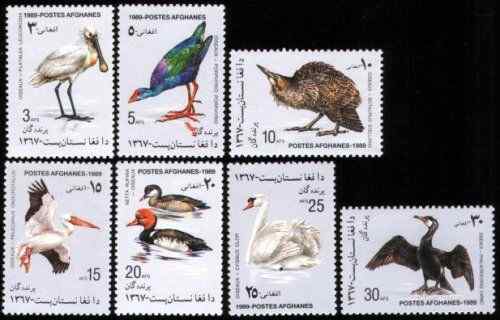 几种阿富汗鸟类