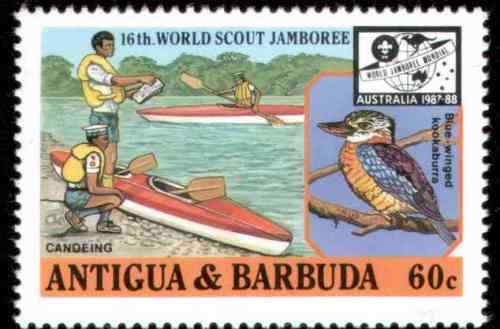 世界童子军聚会蓝翅笑翠鸟