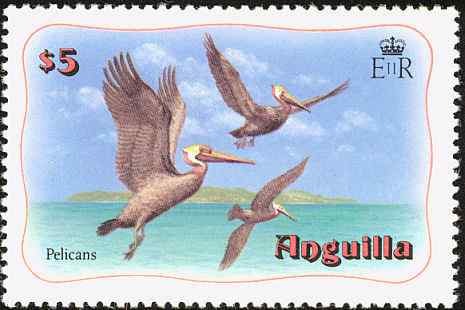 普通邮票褐鹈鹕