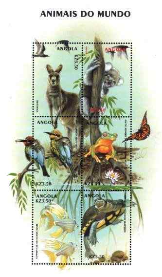 世界的动物彩虹蜂虎等