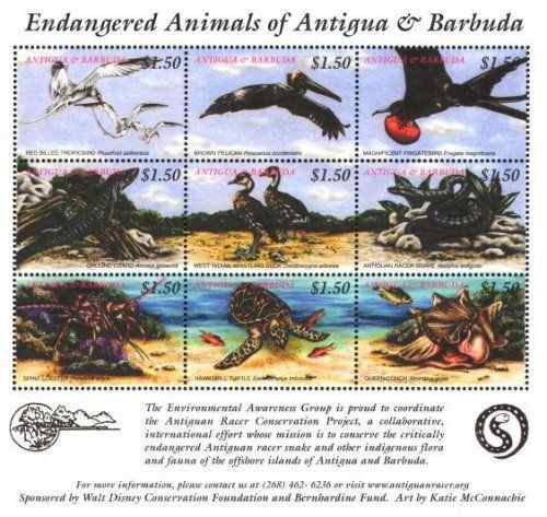 安提瓜和巴布达濒危动物