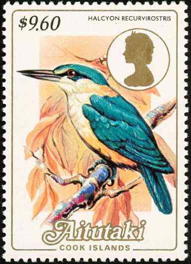 新西兰扁嘴翡翠