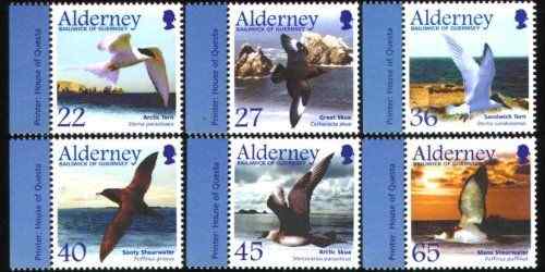 英国候鸟--海洋鸟类