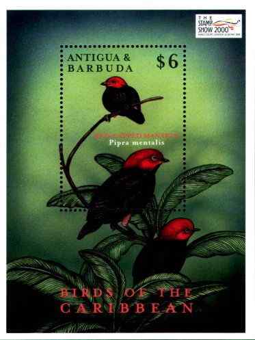 加勒比鸟类小型邮票