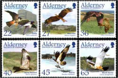 英国候鸟--猛禽