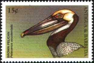 世界海鸟邮票