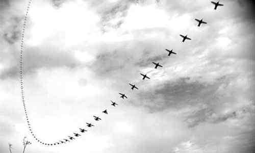 相对于自身尺寸蜂鸟快过战斗机