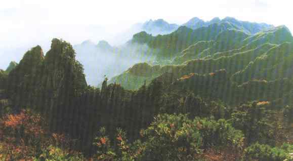 伏牛山国家级自然保护区 伏牛山国家级自然保护区