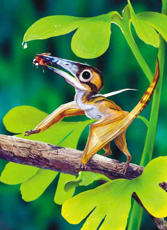 我国发现世界上最小的树栖翼龙化石(组图)