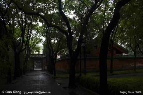 荷花坛子里的自然生物精灵小记
